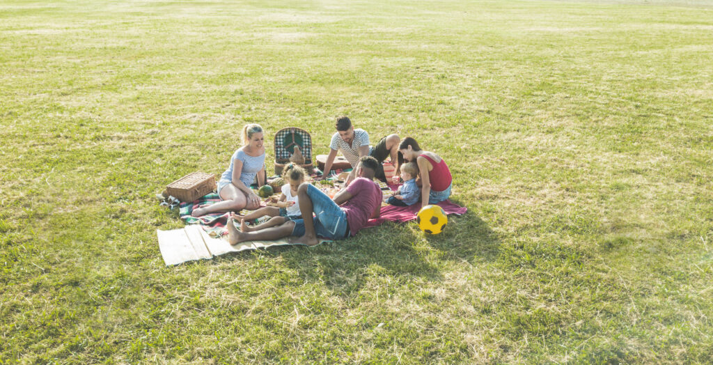 Familia haciendo picnic en el parque. Padres, tios y niños. Multiracial.