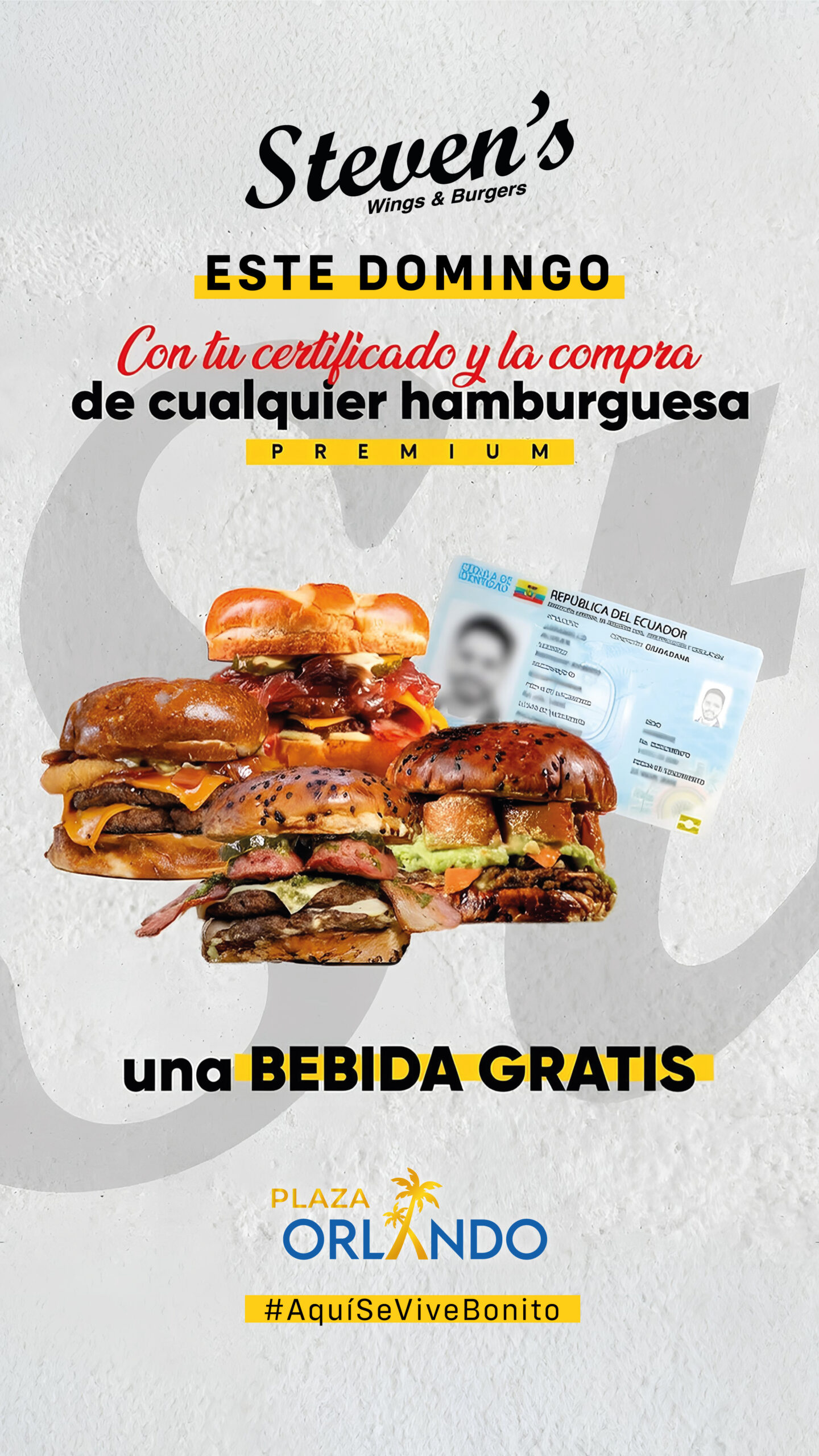 certificado-stevens33